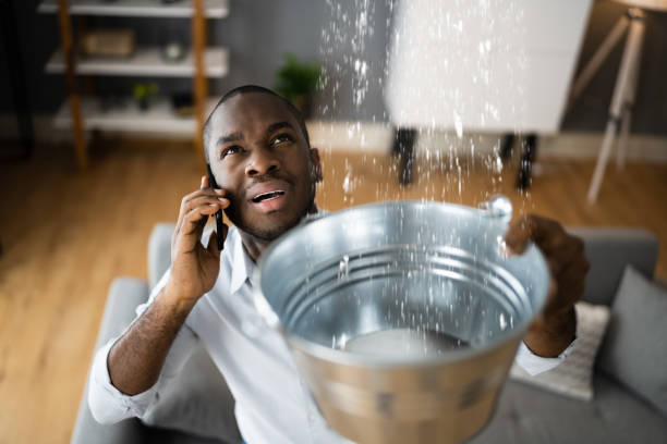 Best Sewage cleanup and water damage restoration  in Alexandria, IN