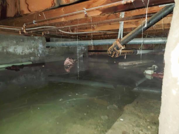 Best Emergency water damage restoration  in Alexandria, IN