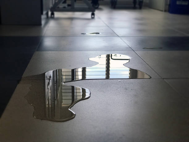 Best Water damage restoration near me  in Alexandria, IN