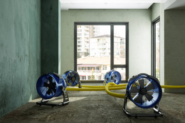 Best Water damage contractors near me  in Alexandria, IN