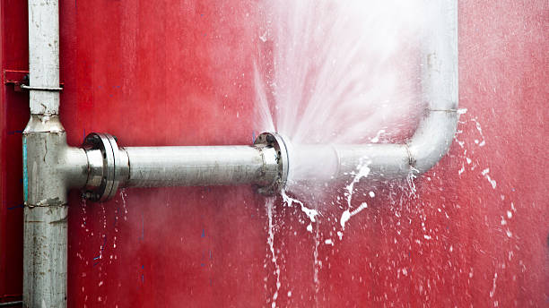 Best Basement water damage restoration  in Alexandria, IN