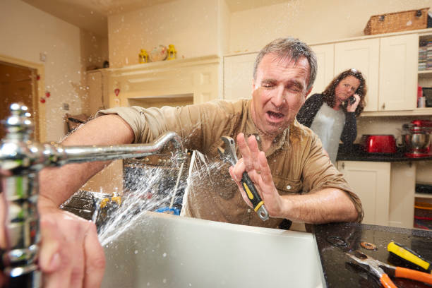 Best Professional water damage repair  in Alexandria, IN